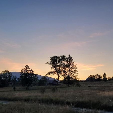 Hamajdowka Villa Zubrzyca Gorna Luaran gambar