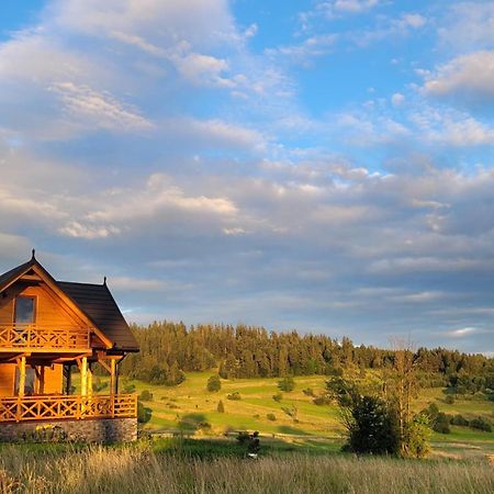 Hamajdowka Villa Zubrzyca Gorna Luaran gambar