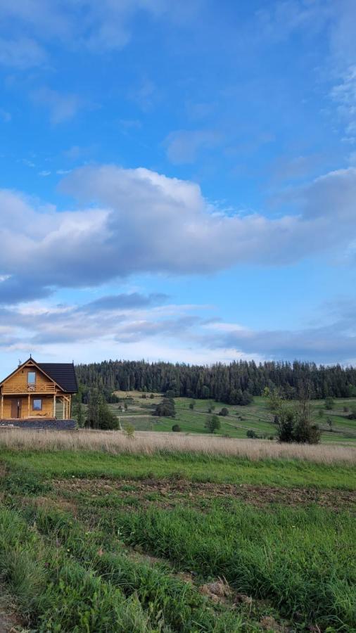 Hamajdowka Villa Zubrzyca Gorna Luaran gambar